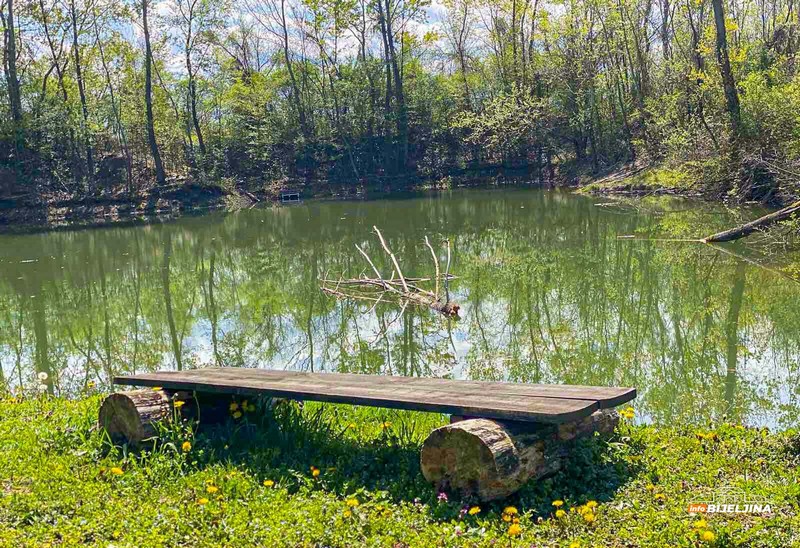 Istražuju biljni i životinjski svijet barskog sistema Drinice: Već registrovane 54 vrste ptica (FOTO)