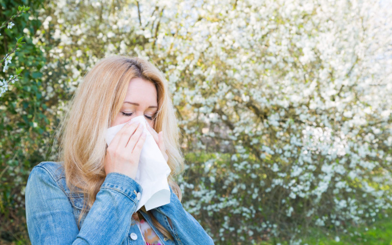 Zašto sve više ljudi pati od alergije