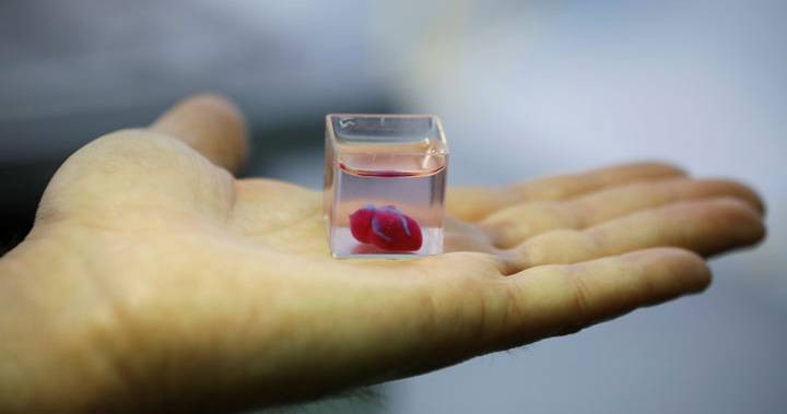 Predstavljeno prvo 3D srce - za 10 godina ćemo štampati organe?