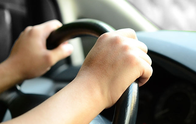 Povoljni uslovi za vožnju, bez gužve na graničnim prelazima