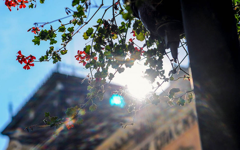 Danas toplo, temperatura i do 31 stepen