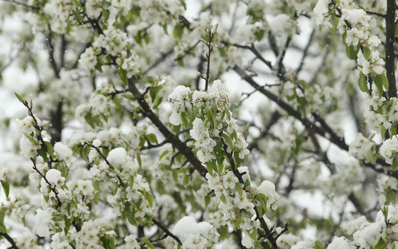 Poslije Slovenije i Hrvatske, zabijelilo se i na planinama BiH