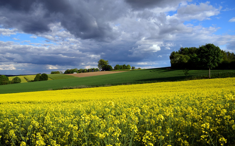 Sutra pretežno oblačno i nestabilno