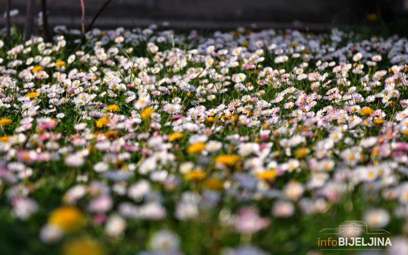 Objavljena prognoza za ljeto