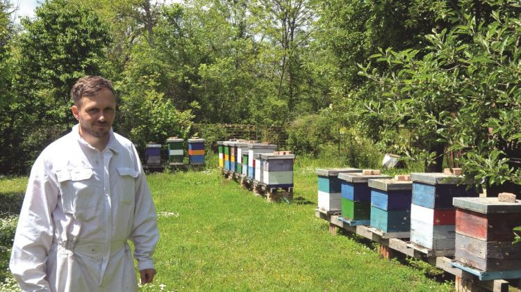 Bojan Nešković, bijeljinski pčelar: Smanjuje se snaga pčelinje zajednice