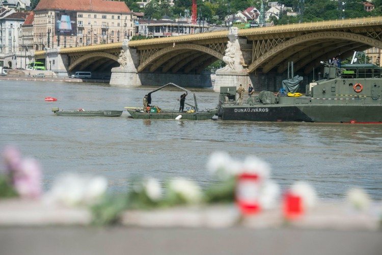 Svjedoci tragedije na Dunavu: 