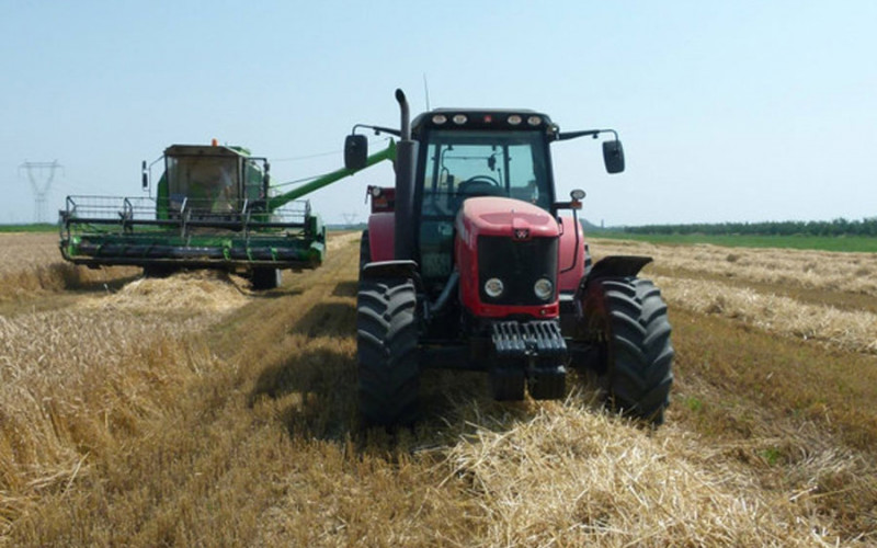 Očekuje nas smanjeni prinosi i kvalitet hljebnog žita: Pšenice zbog kiše ostala bez zaštite