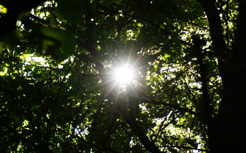 Sutra sunčano i toplo