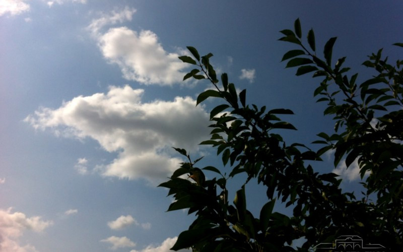 Sutra i do 35 stepeni Celzijusovih