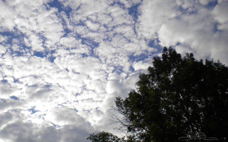 Sutra prije podne sunčano. tokom dana mogući lokalni pljuskovi