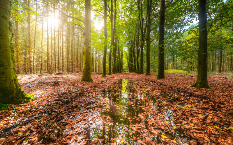 Danas sunčano, poslije podne lokalni pljuskovi