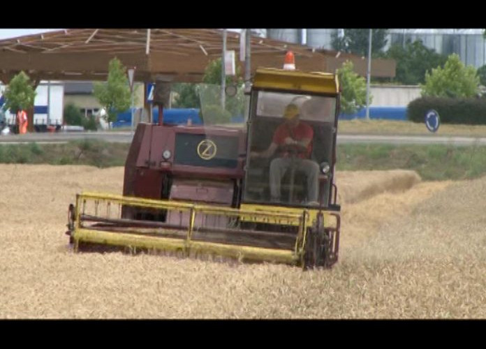 Ispravne vage-Manje briga za poljoprivrednike