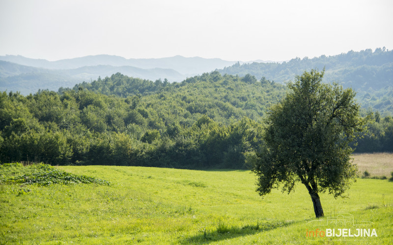 I danas veoma toplo, temperatura do 37 stepeni