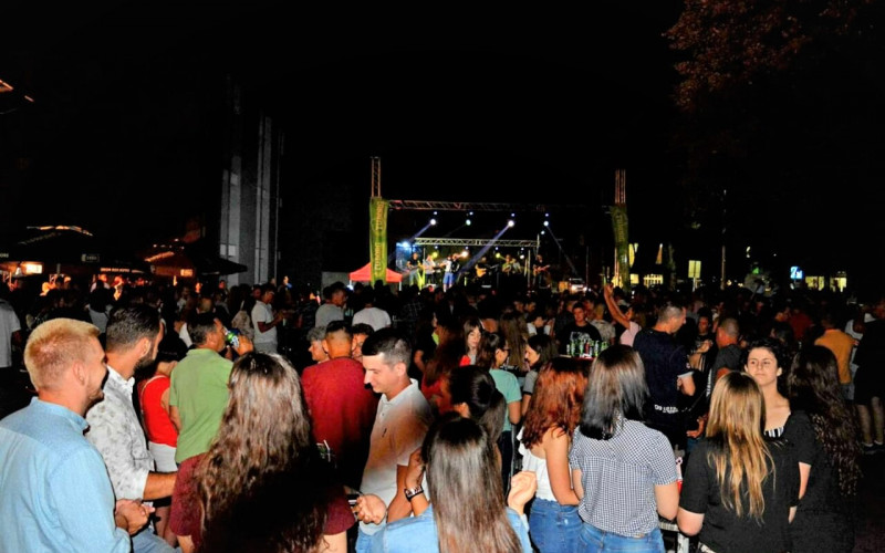 Održan „Summer fest“ u Loparama