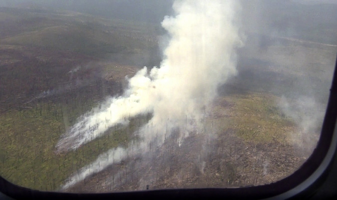 Požari u Sibiru su ekološka katastrofa