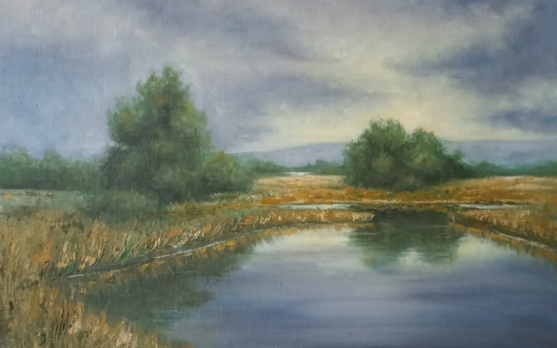 Kupite sliku i pomozite Nikoli!