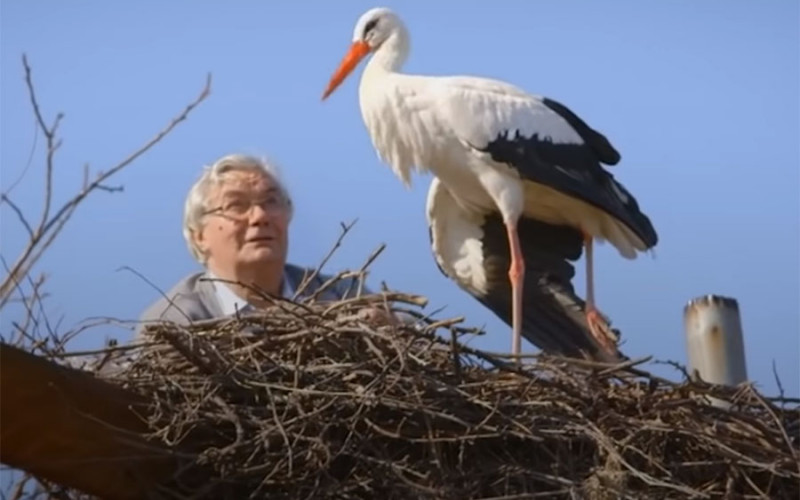 TUŽAN KRAJ NAJPOZNATIJIH RODA Uginuo Klepetan, Malena ostala sama