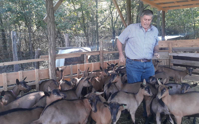 Kapital stečen u Africi ULAŽU U ZAVIČAJ: Prijatelji grade farmu koza na Majevici