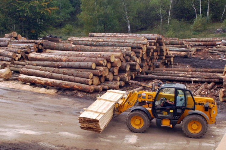 Odzvonilo manipulacijama drvoprerađivača, Vlada Srpske uvodi nove mjere