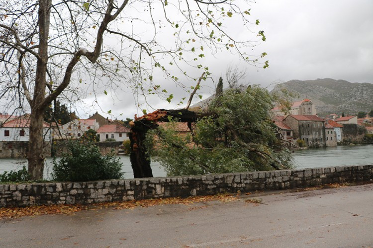 Nevrijeme pogodilo Trebinje: Voda ušla u kuće, stabla polomljena