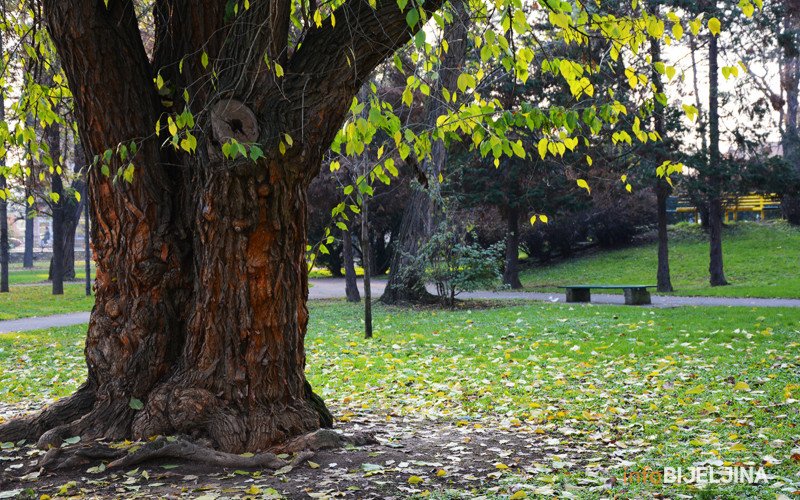 Sutra oblačno i svježije