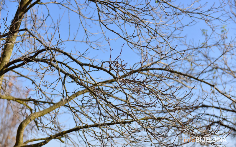 Sutra oblačno i suvo