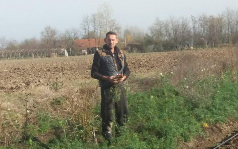 Treća generacije Hadžića iz Janje u poljoprivredi: Povrće ekstra kvaliteta, ali nemaju ga kome prodati