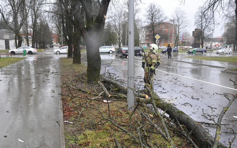 Jako nevrijeme i u Prijedoru: Vjetar rušio stabla