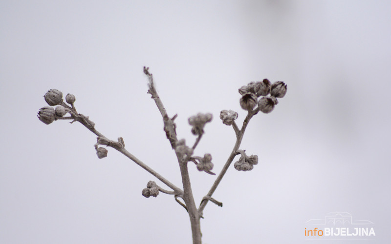 Za vikend prohladno, od ponedjeljka toplije