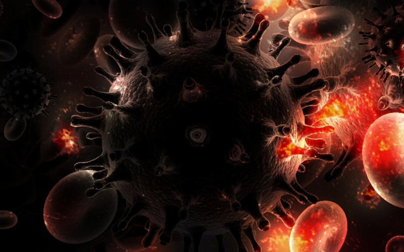 Šta virus korona radi ljudskim organima?