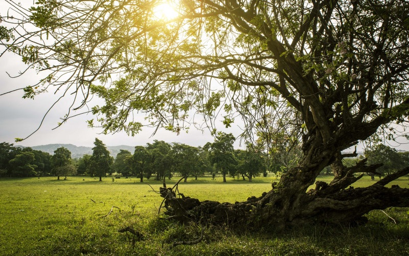Danas i do 19 stepeni Celzijusovih