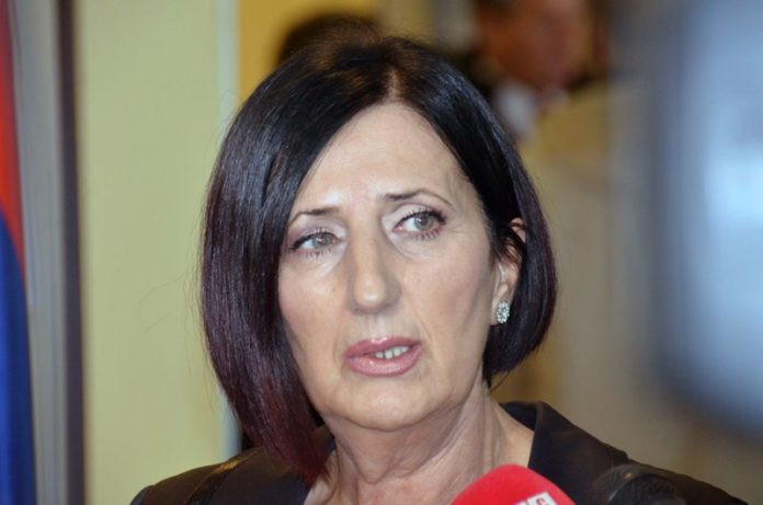 Mišić: Izmjenama zakona zaštititi radnice i majke