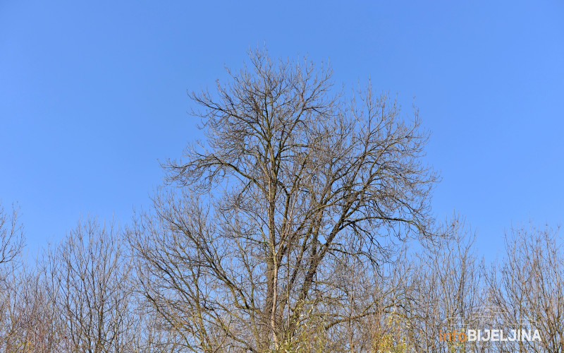 Danas pretežno oblačno i suvo vrijeme, temperatura do 14 stepeni