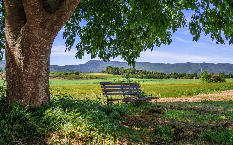 Sutra pretežno sunčano uz porast temperature