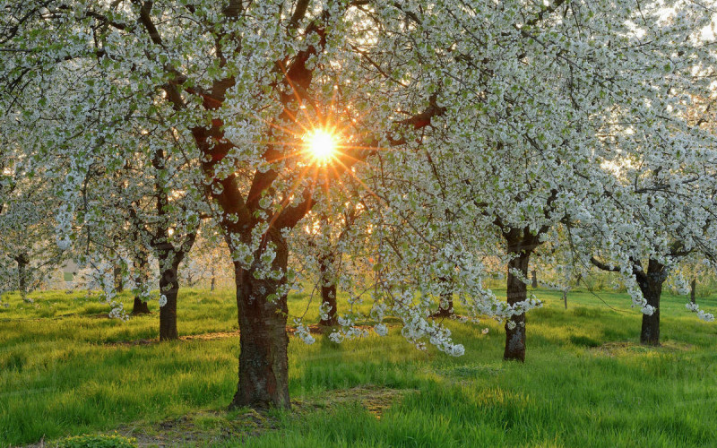 Danas sunčano uz umjerenu oblačnost