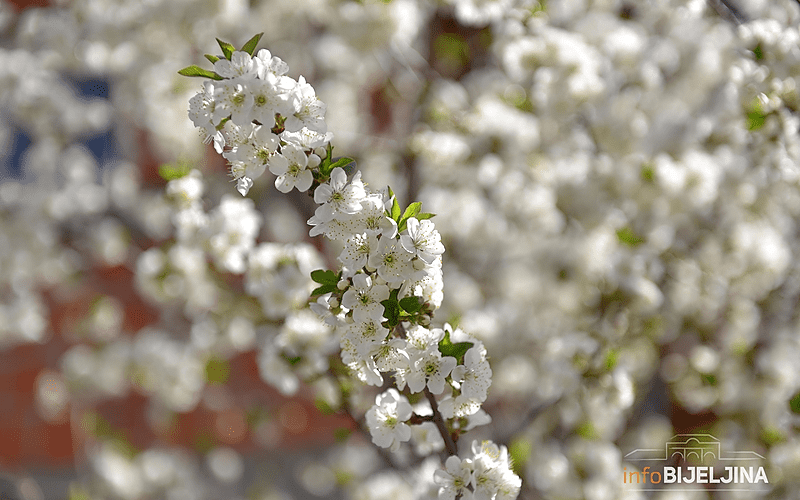 Pogledajte kakvo nas vrijeme očekuje do utorka