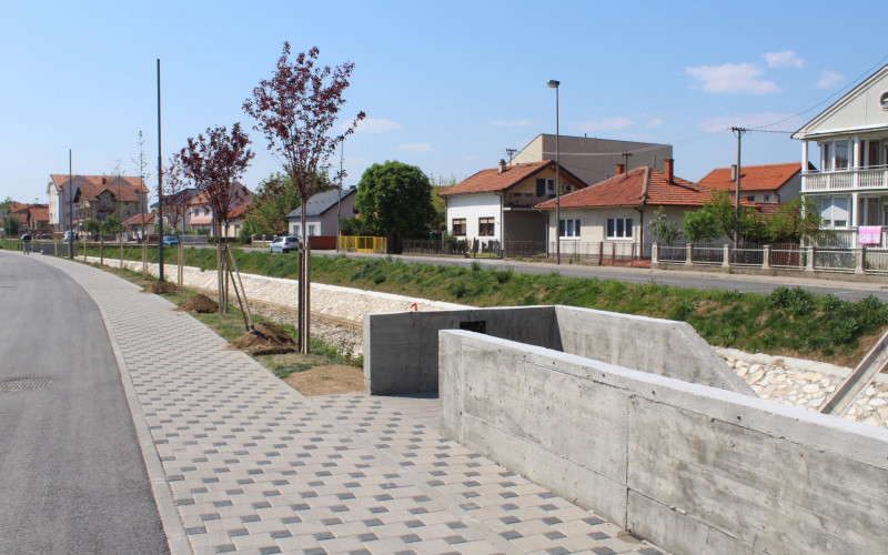 Novi drvored na šetalištu pored Dašnice /FOTO/