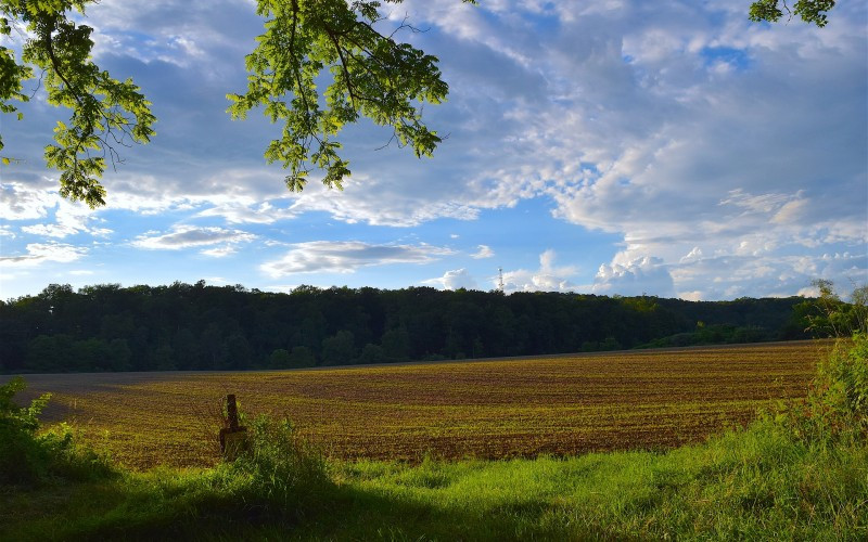 Danas pretežno sunčano, poslije podne naoblačenje