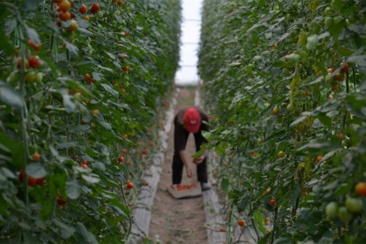 Produžen rok privrednicima za prijave za dodjelu sredstava za april