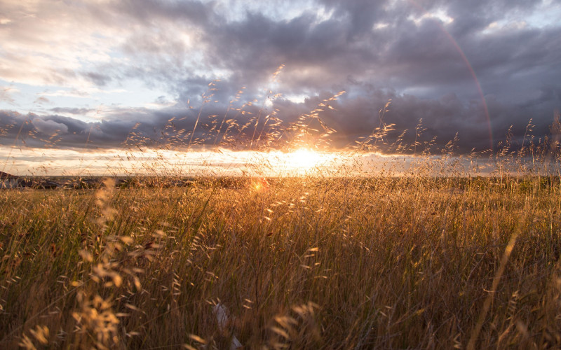 Sutra sunčano uz umjerenu oblačnost, temperatura do 28 stepeni