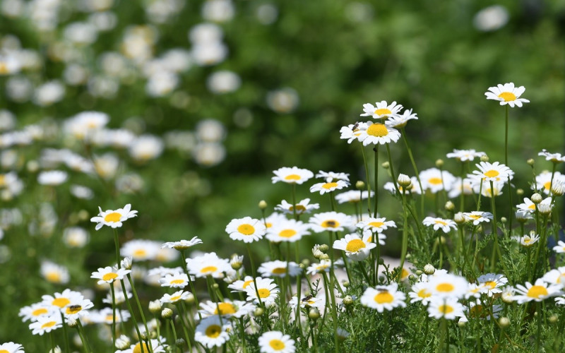 Sutra oblačno i toplije