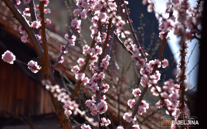 Vremenska prognoza za predstojeće dane