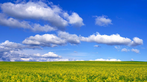 Danas pretežno oblačno i veoma toplo