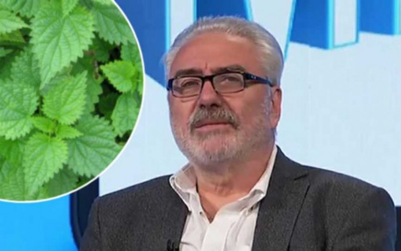 Doktor NESTOROVIĆ objašnjava moć KOPRIVE u borbi protiv insekata!