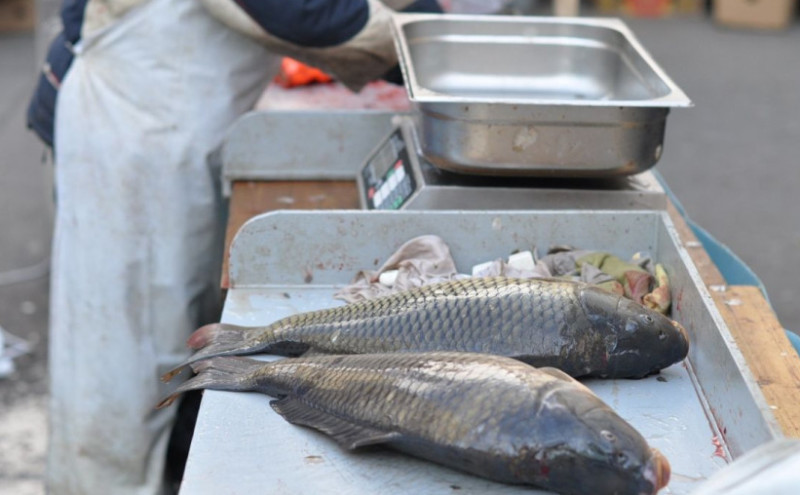 Pad proizvodnje i prodaje šarana veliki problem ribarnica u Bijeljini