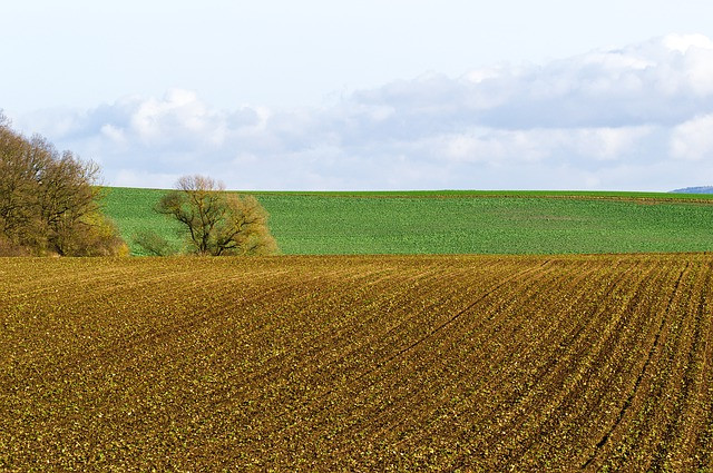 Danas vjetrovito i toplije, temperatura do 23 stepena