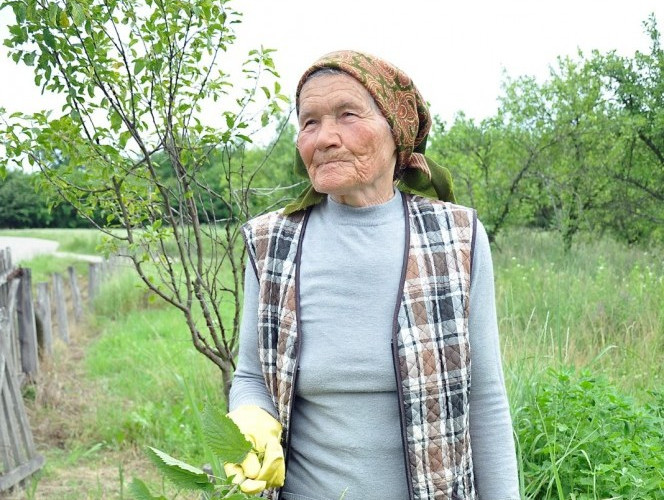 Kopriva je i hrana i lijek