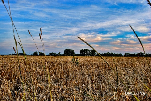 Sutra sunčano i toplije
