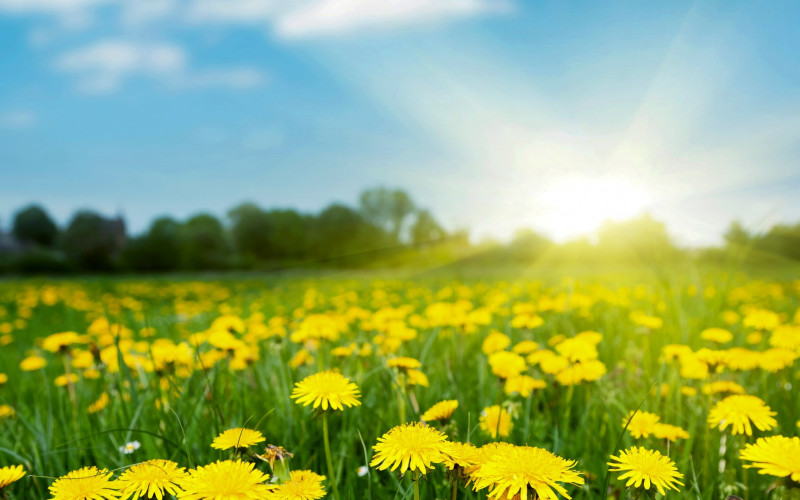 Danas u BiH sunčano i toplo, popodne mogući pljuskovi