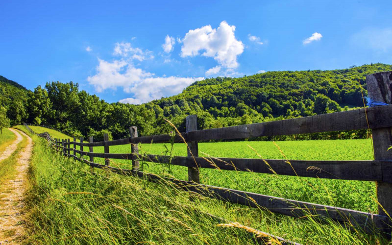 Kakvo nas vrijeme očekuje do naredne sedmice?